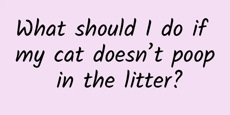 What should I do if my cat doesn’t poop in the litter?
