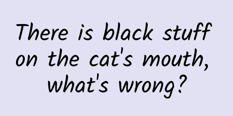 There is black stuff on the cat's mouth, what's wrong?