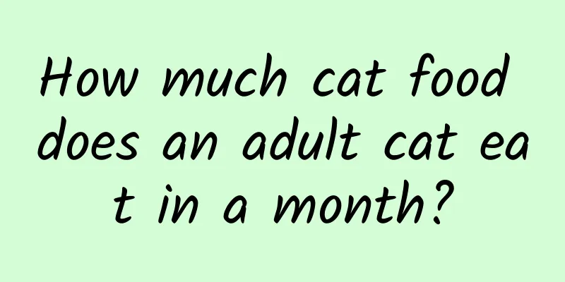 How much cat food does an adult cat eat in a month?