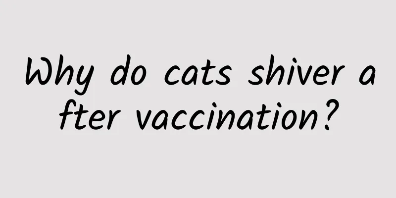 Why do cats shiver after vaccination?