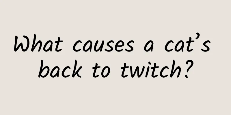 What causes a cat’s back to twitch?