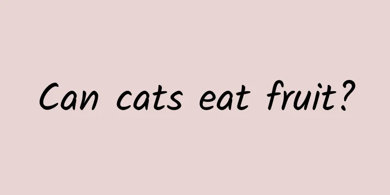 Can cats eat fruit?