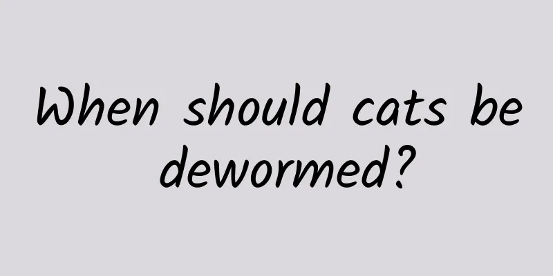 When should cats be dewormed?