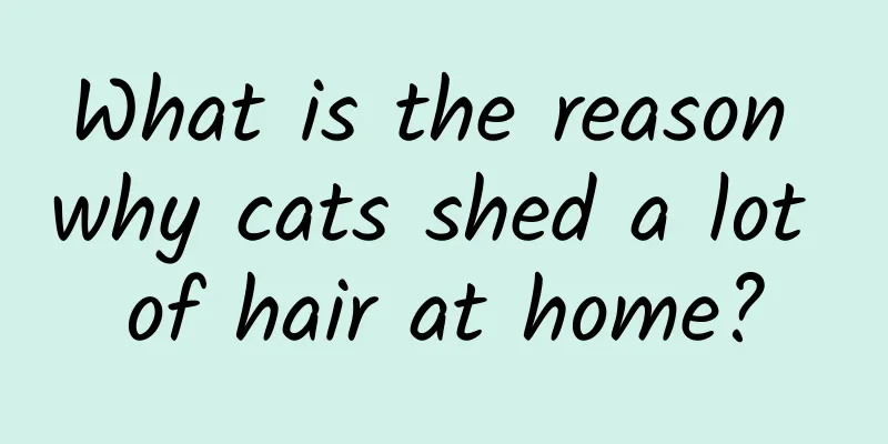 What is the reason why cats shed a lot of hair at home?