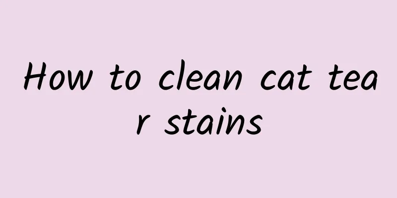 How to clean cat tear stains