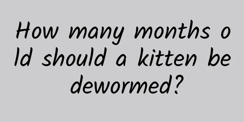 How many months old should a kitten be dewormed?