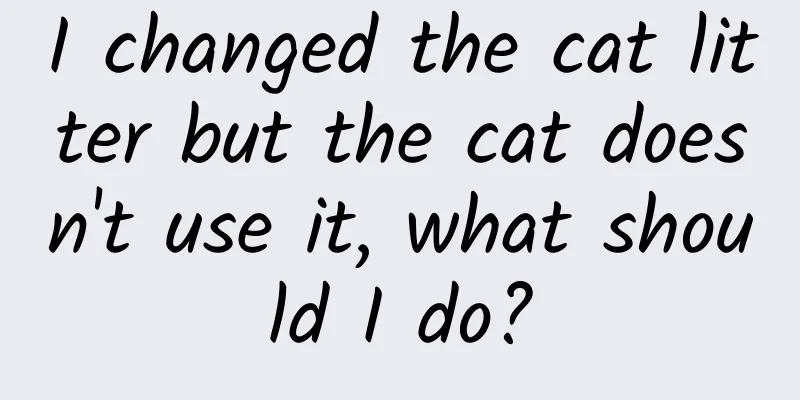 I changed the cat litter but the cat doesn't use it, what should I do?
