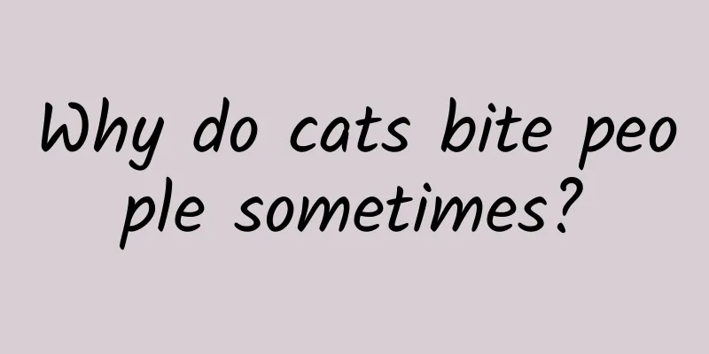 Why do cats bite people sometimes?