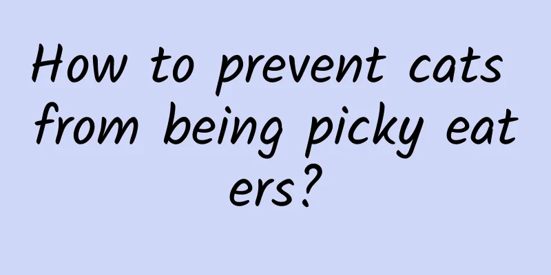 How to prevent cats from being picky eaters?