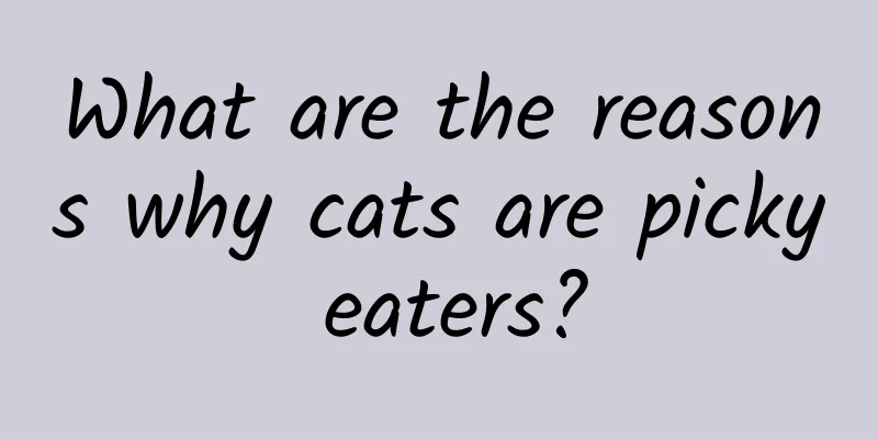 What are the reasons why cats are picky eaters?