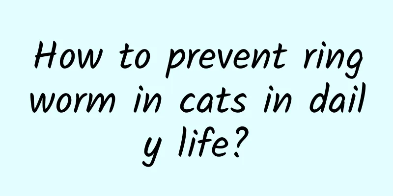 How to prevent ringworm in cats in daily life?