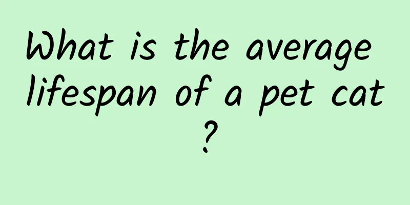 What is the average lifespan of a pet cat?