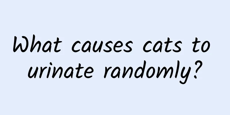 What causes cats to urinate randomly?