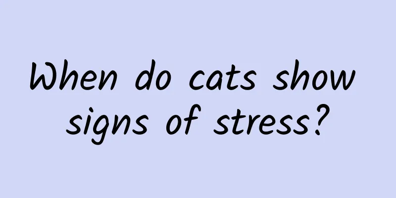 When do cats show signs of stress?