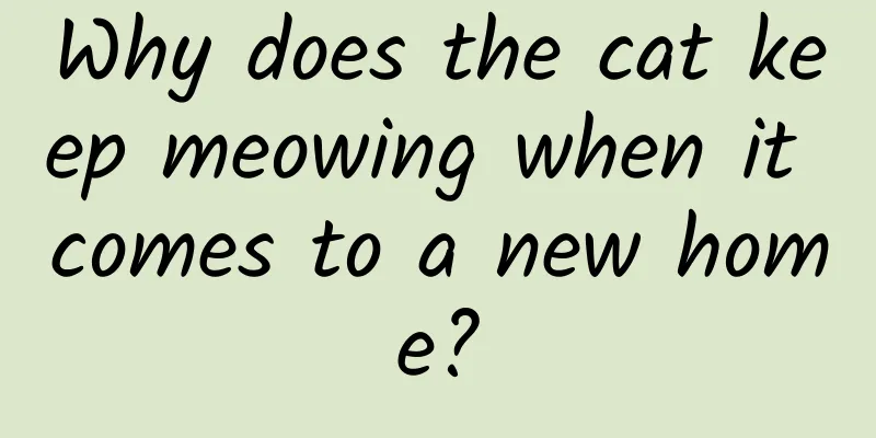 Why does the cat keep meowing when it comes to a new home?