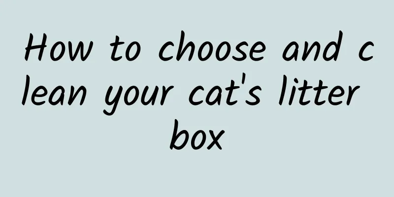 How to choose and clean your cat's litter box