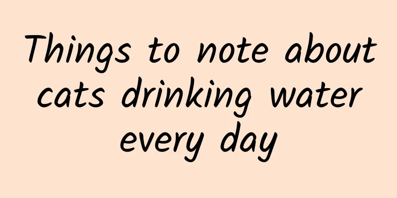 Things to note about cats drinking water every day