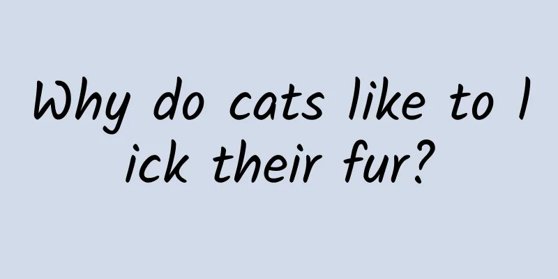 Why do cats like to lick their fur?