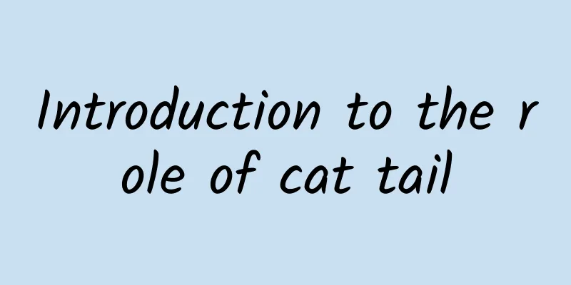 Introduction to the role of cat tail