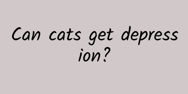 Can cats get depression?