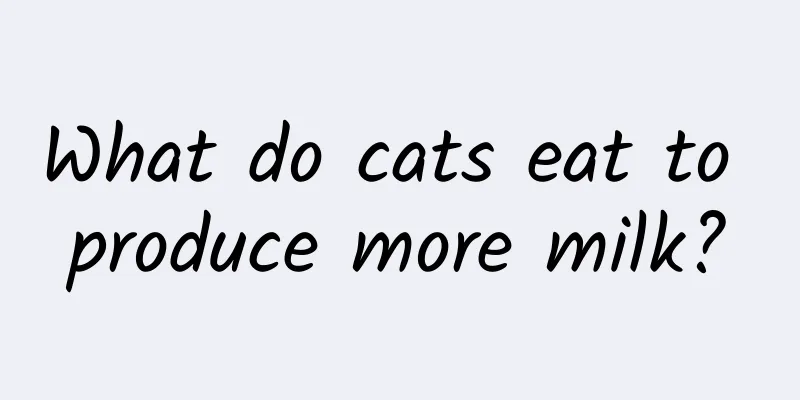What do cats eat to produce more milk?