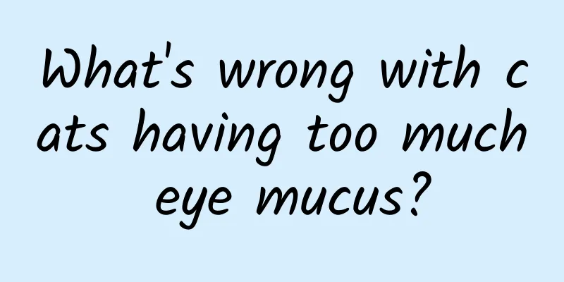 What's wrong with cats having too much eye mucus?