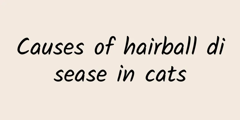 Causes of hairball disease in cats