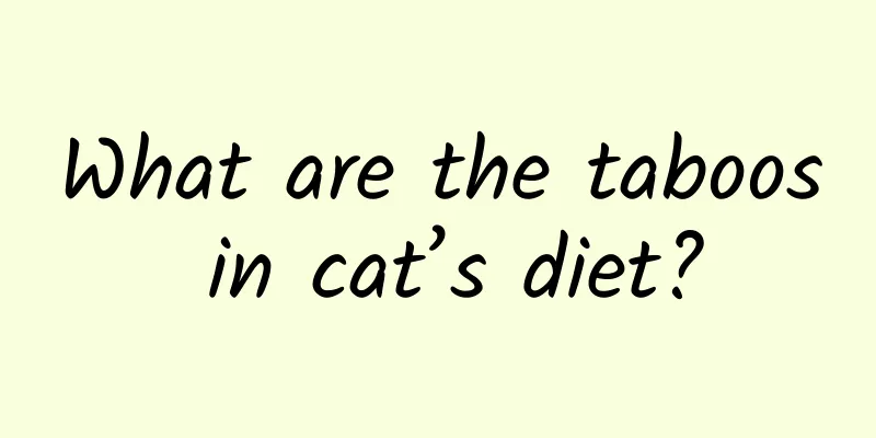 What are the taboos in cat’s diet?