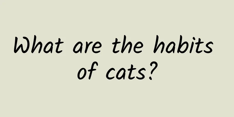 What are the habits of cats?