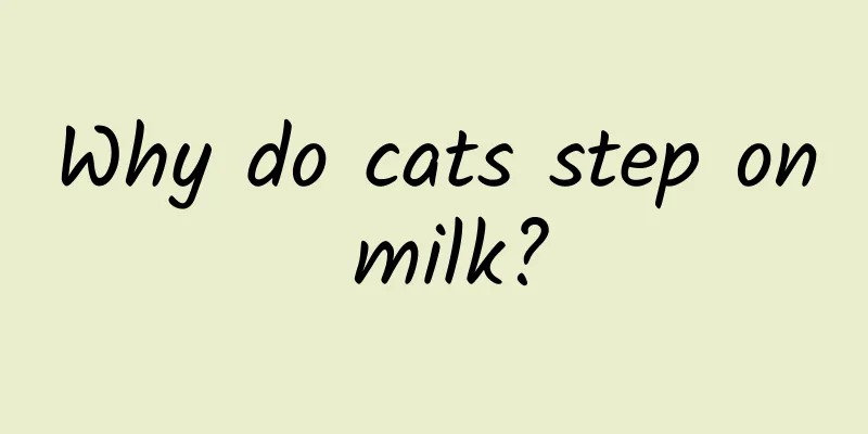 Why do cats step on milk?