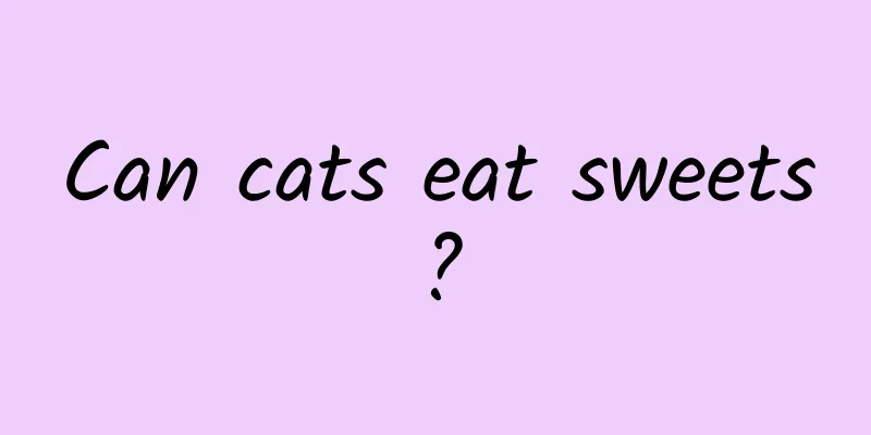 Can cats eat sweets?