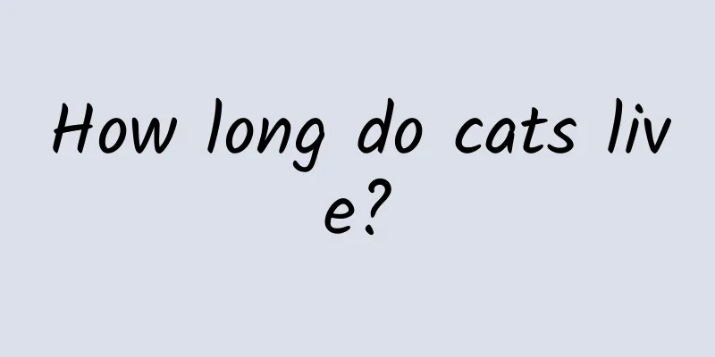 How long do cats live?