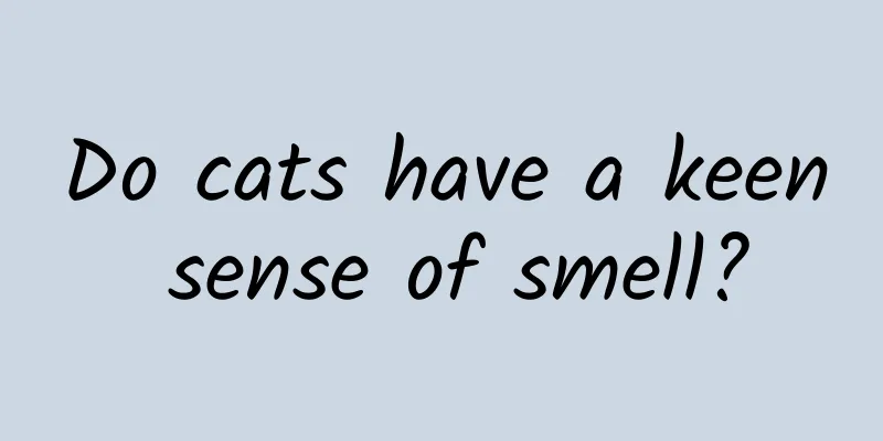 Do cats have a keen sense of smell?