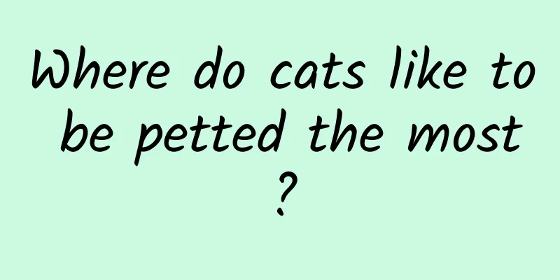 Where do cats like to be petted the most?