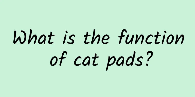 What is the function of cat pads?