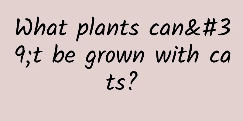 What plants can't be grown with cats?