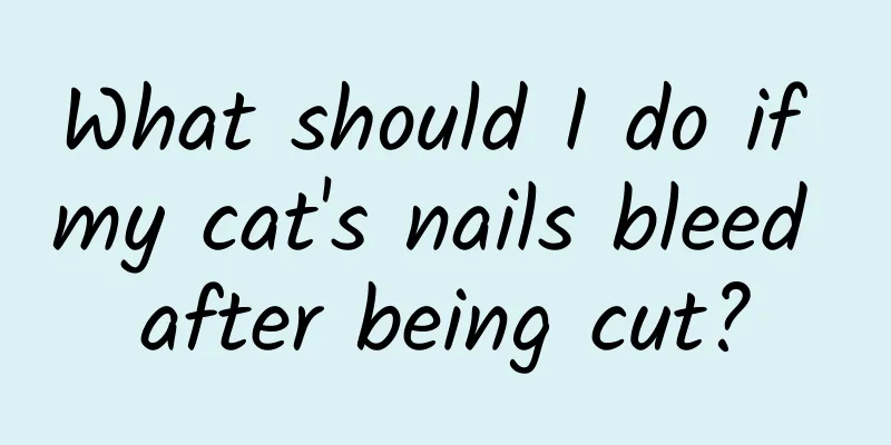 What should I do if my cat's nails bleed after being cut?