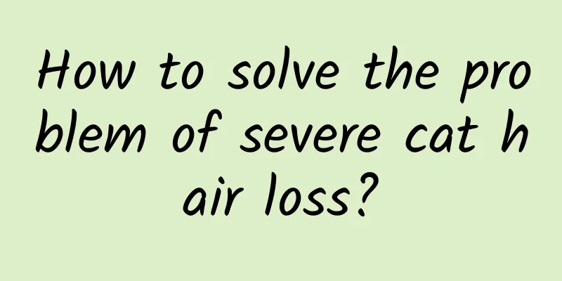 How to solve the problem of severe cat hair loss?