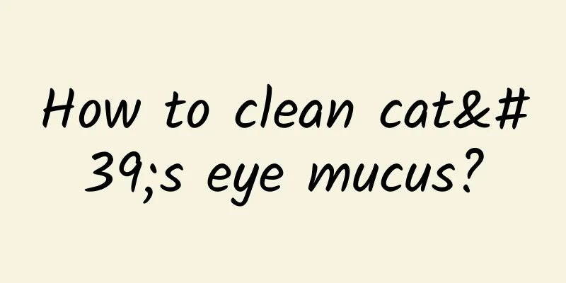 How to clean cat's eye mucus?