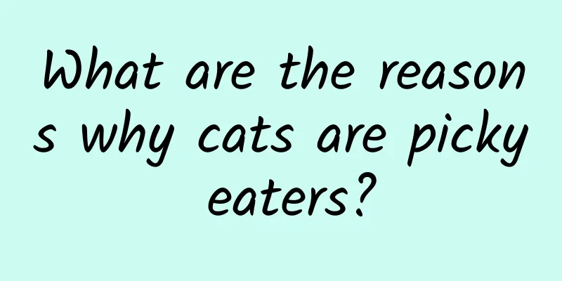 What are the reasons why cats are picky eaters?