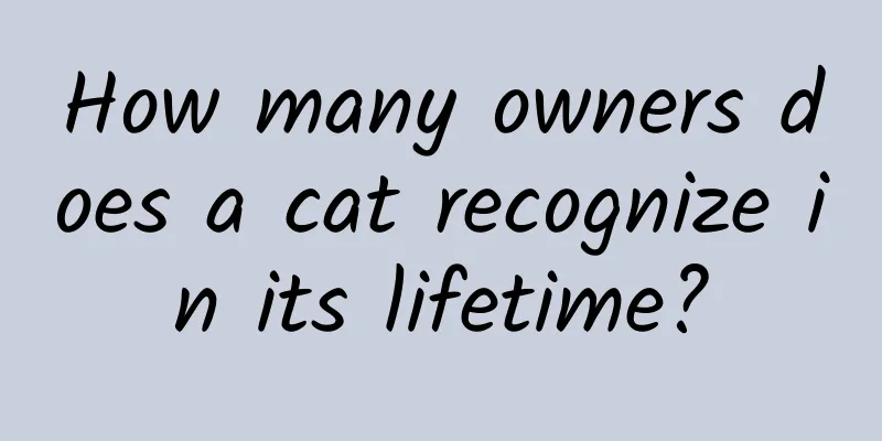 How many owners does a cat recognize in its lifetime?