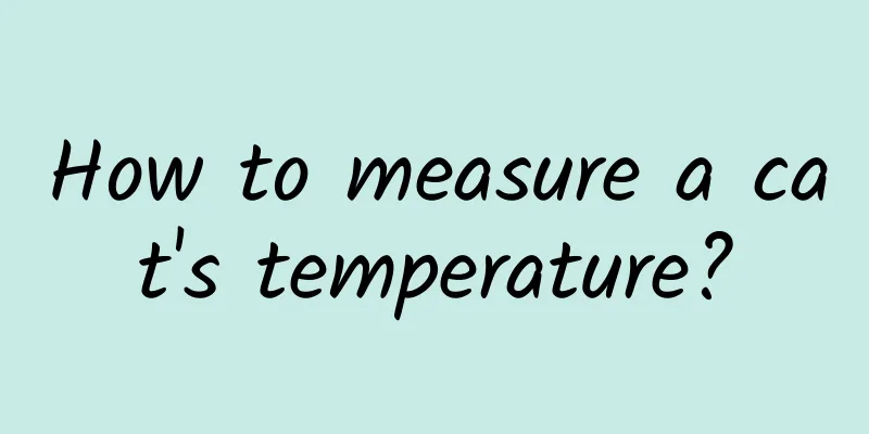 How to measure a cat's temperature?