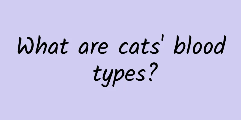 What are cats' blood types?