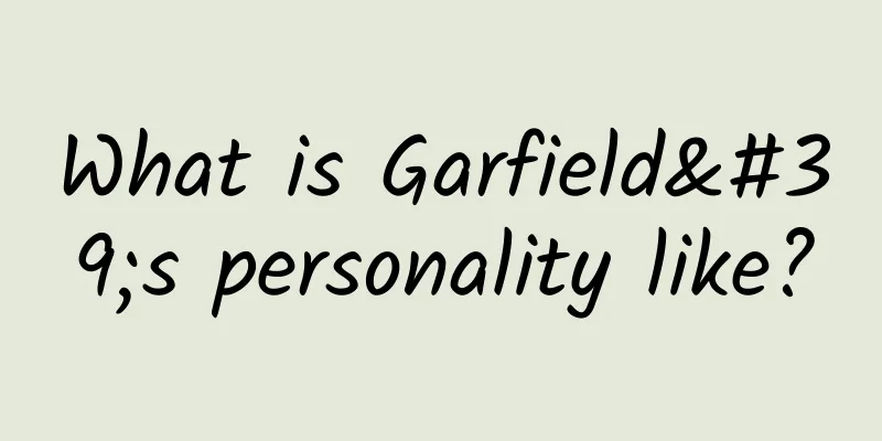 What is Garfield's personality like?