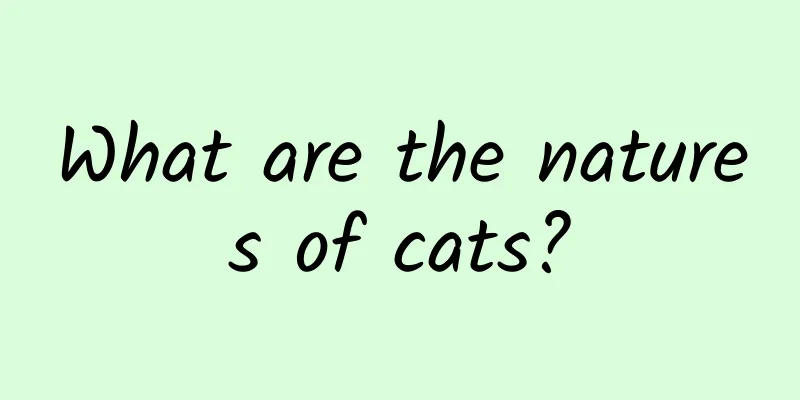 What are the natures of cats?