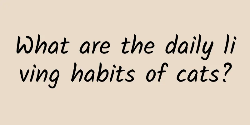 What are the daily living habits of cats?