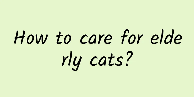 How to care for elderly cats?