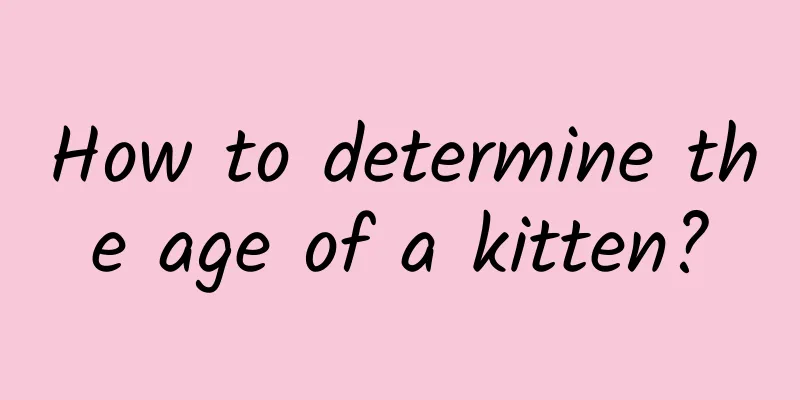 How to determine the age of a kitten?
