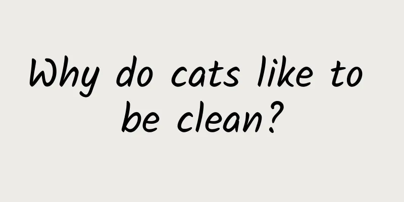Why do cats like to be clean?