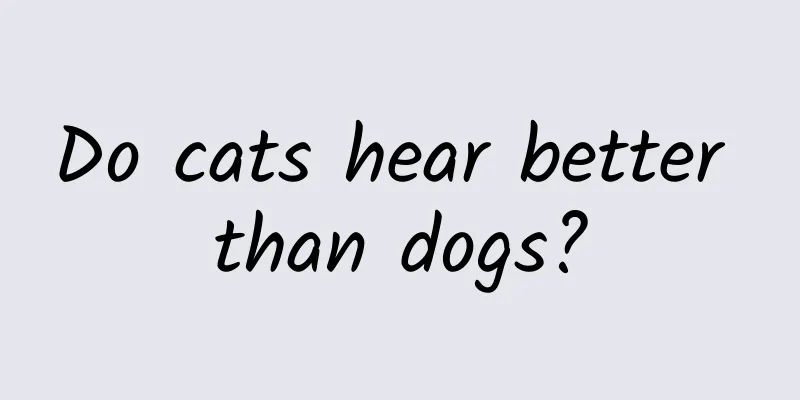 Do cats hear better than dogs?